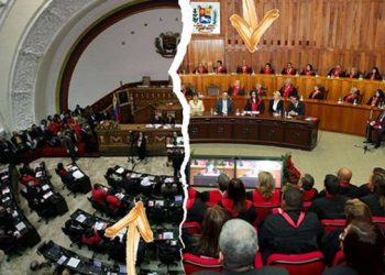 Siete leyes y 10 actos de la AN en suspenso por decisión del TSJ
