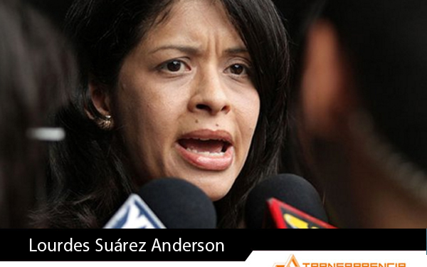 Al quitarle la potestad de decidir quién va al Panteón, el TSJ liquidó a la AN