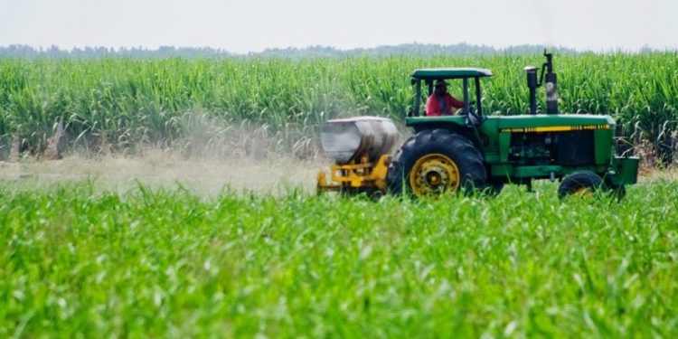 Tribunal ordena detención de funcionarios de PDVSA Agrícola por robo de turbinas