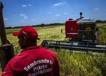 El TSJ anula y reescribe artículos de la Ley de Tierras