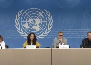 La Misión de la ONU recibirá denuncias sobre las violaciones a los DDHH ocurridas desde el 28J (y estas son algunas de ellas)